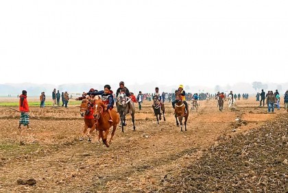 মাগুরায় ঘোড়দৌড় দেখতে জনতার ঢল