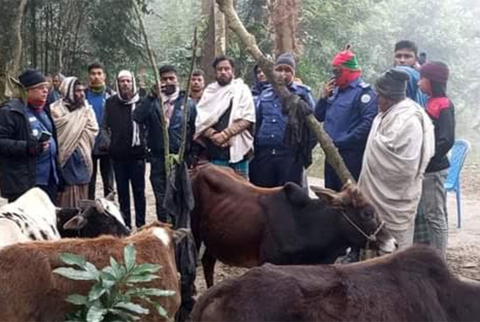 দুমকিতে ট্রাকসহ ৬ চোরাই গরু উদ্ধার