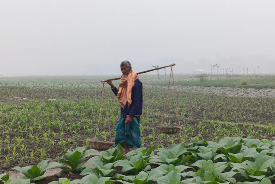 মাঘের কনকনে ঠান্ডায় কাপছে লালমনিরহাট