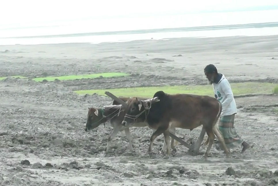 কুড়িগ্রামে শীতে স্থবির জনজীবন