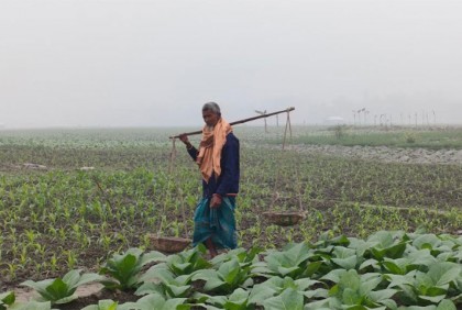 মাঘের কনকনে ঠান্ডায় কাপছে লালমনিরহাট