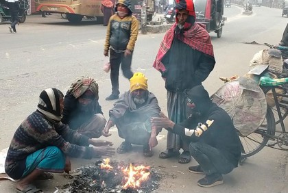 চুয়াডাঙ্গায় বৃষ্টির মতো ঝরছে ঘনকুয়াশা 