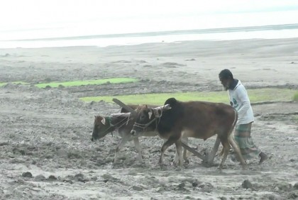কুড়িগ্রামে শীতে স্থবির জনজীবন