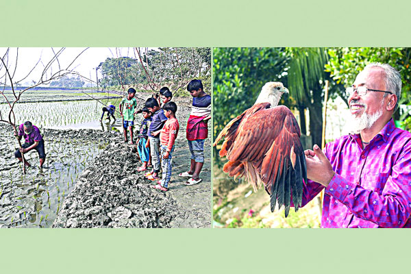 ফসল উৎপাদন ও প্রাণী সেবায় দুই দশক