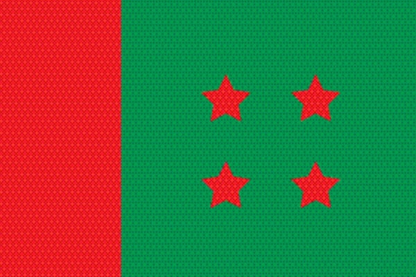 উপজেলায় কী করবে আওয়ামী লীগ
