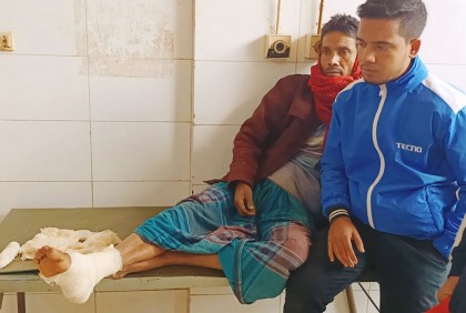 শেরপুরে পাগলা কুকুরের আক্রমণে আহত অর্ধশত