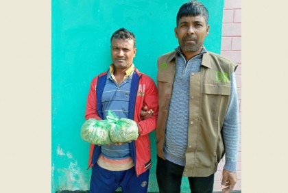 ঝিনাইদহে মাদক কারবারি আটক
