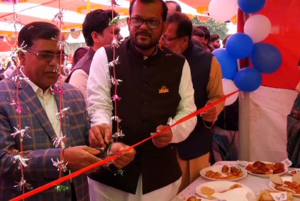 গাংনী বালিকা বিদ্যালয়ে পিঠা উৎসব