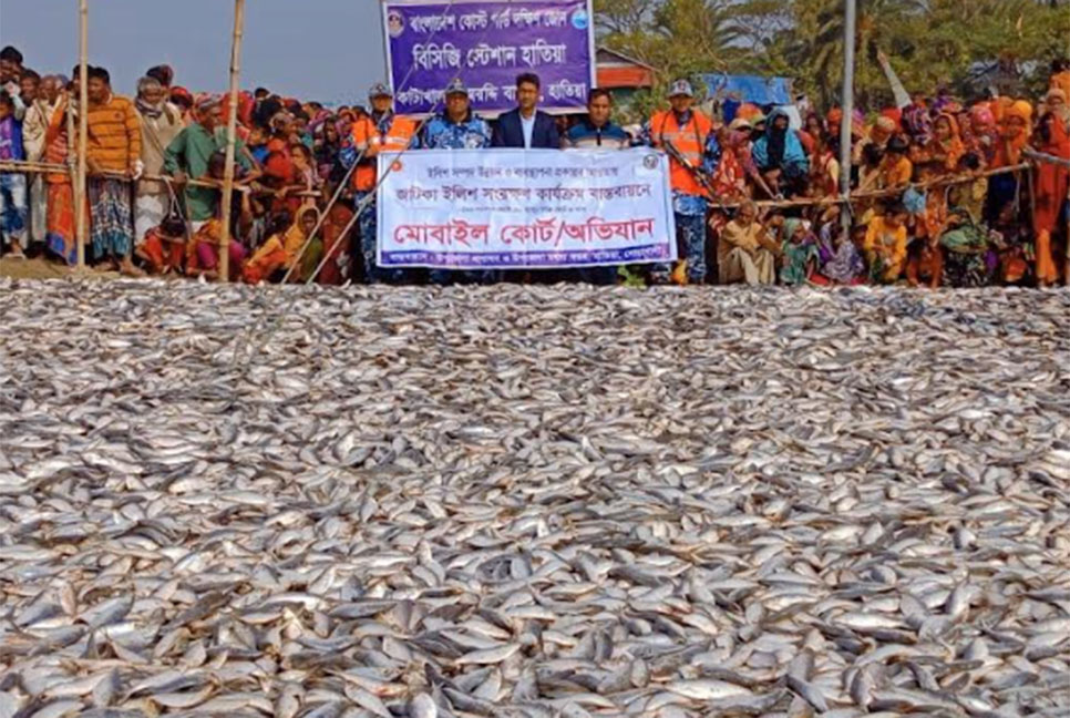 হাতিয়ায় জাটকা জব্দ  