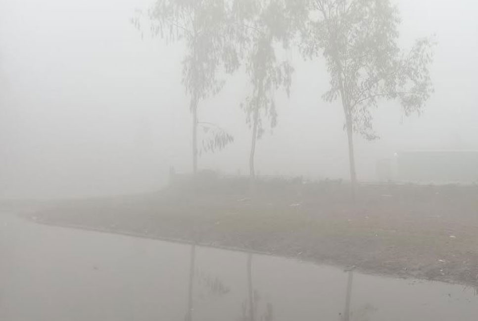 

নীলফামারীতে শীত ও ঘন কুয়াশায় জীবনযাত্রা ব্যাহত