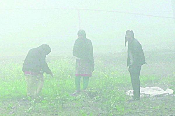 শৈত্যপ্রবাহে কাঁপছে উত্তরবঙ্গ