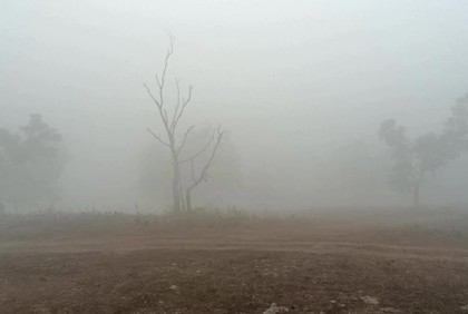 ১২ জেলায় মৃদু থেকে মাঝারি শৈত্যপ্রবাহ 