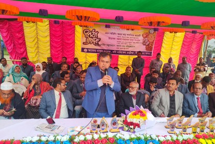 ঝিনাইদহে পিঠা উৎসব