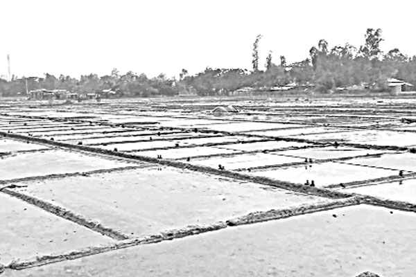 লবণ উৎপাদন থমকে আছে কুতুবদিয়ায়