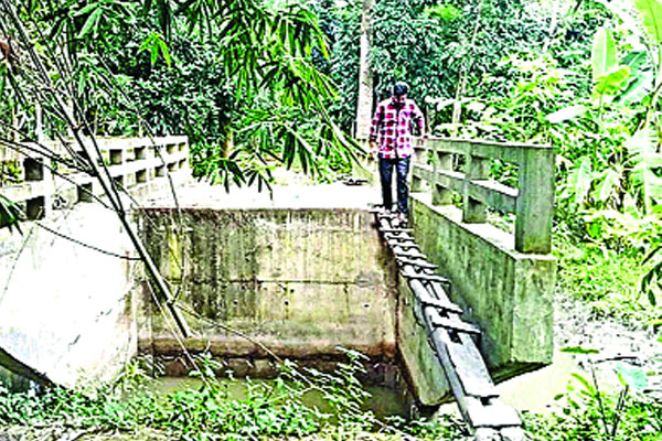 ৯০ লাখ টাকার সেতুতে উঠতে হয় সাঁকো বেয়ে