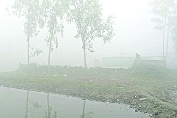 তাপমাত্রা নেমেছে ৫ ডিগ্রিতে