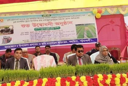 গলাচিপায় ব্লক প্রদর্শনীর ধানের চারা রোপণ কার্যক্রম উদ্বোধন