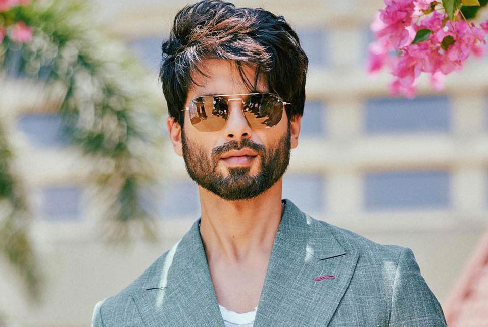 ‘অ্যানিম্যাল’র সিক্যুয়েলে শহিদ কাপুর?