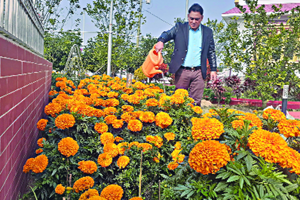 দর্শনার্থীর ভিড় ফুলের বাড়িতে