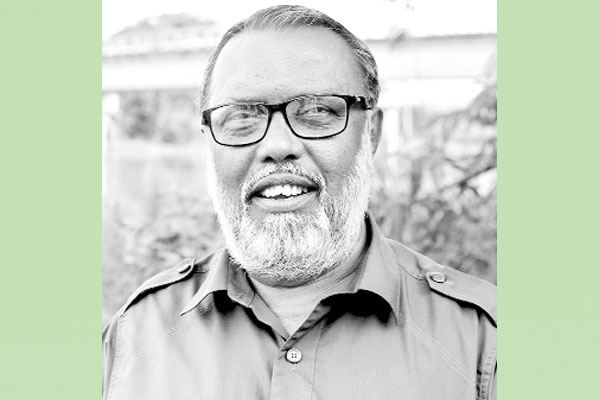 পান চাষে লাভবান ওমান প্রবাসী