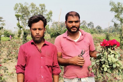 চকরিয়ায় ‌‘গোলাপ গ্রাম’ খ্যাত বরইতলীতে জমজমাট ফুলের বাজার