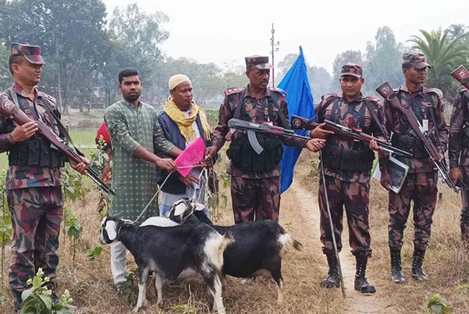 পতাকা বৈঠকের পর দেশে ফিরল ৩ ছাগল