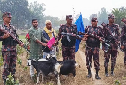 পতাকা বৈঠকের পর দেশে ফিরল ৩ ছাগল