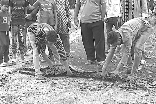 সড়ক সংস্কারে নিম্নমানের সামগ্রী