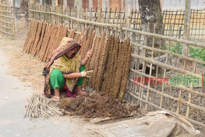 এখনো হারিয়ে যায়নি গোবরের ঘুটির ব্যবহার