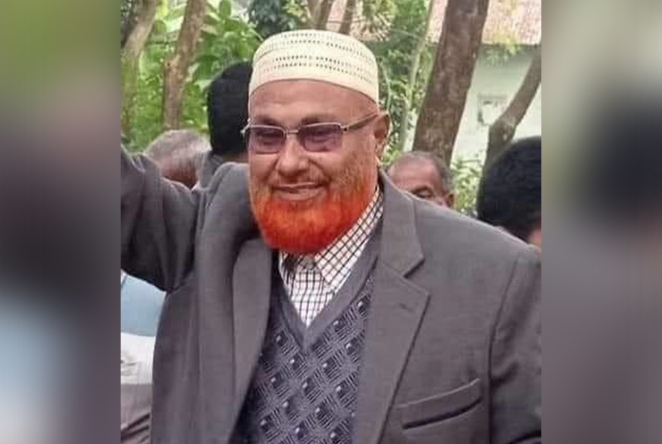 সুবর্ণচরে গাছ চাপা পড়ে আওয়ামী লীগ নেতার মৃত্যু