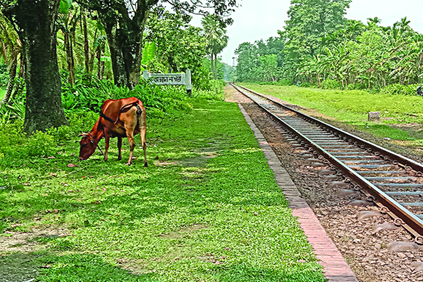 একে একে বন্ধ ৭০ স্টেশন