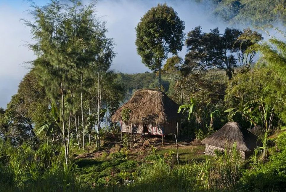 পাপুয়া নিউগিনিতে গোলাগুলিতে নিহত ৫৩