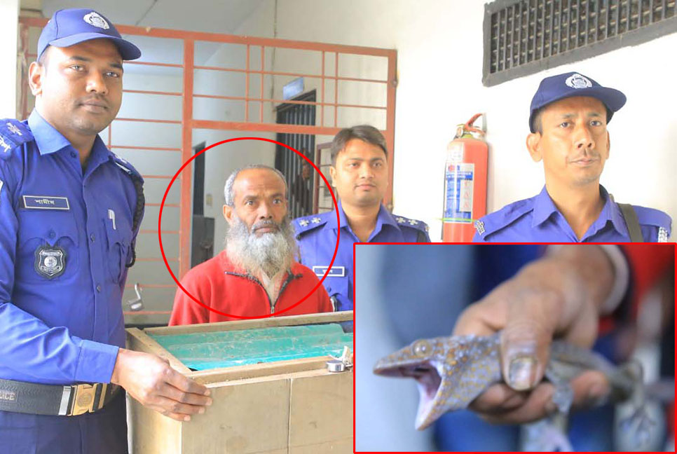 বগুড়ায় তক্ষক উদ্ধার, গ্রেফতার ১