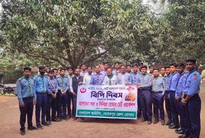 মেহেরপুরে বিপি দিবস পালিত