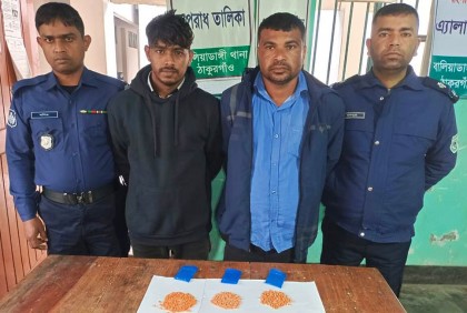 ঠাকুরগাঁওয়ে ইয়াবাসহ দুই মাদক কারবারি গ্রেফতার