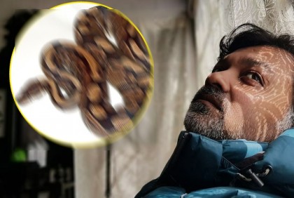 ঘরে অজগর আনলেন সৃজিত?