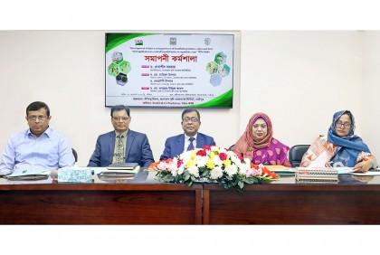 বারিতে সবজি উৎপাদনে ক্ষতিকারক মাইট নিয়ন্ত্রণের জন্য কর্মশালা