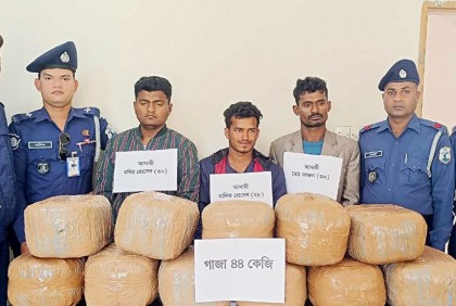 চাঁদপুরে গাঁজাসহ আটক ৩