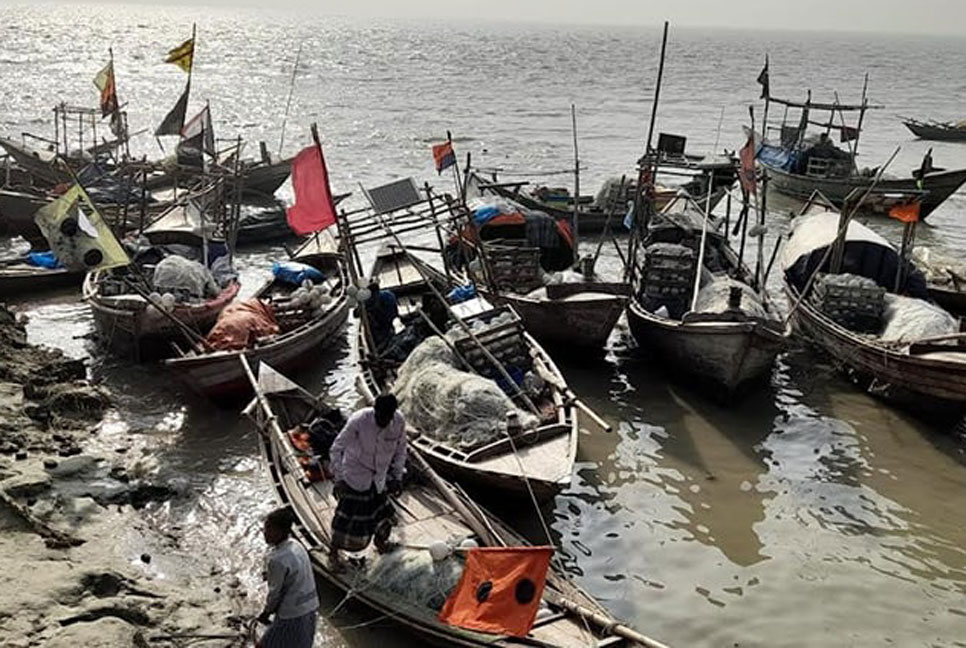 ইলিশের অভয়াশ্রম : আজ মধ্যরাত থেকে মাছ ধরা নিষিদ্ধ