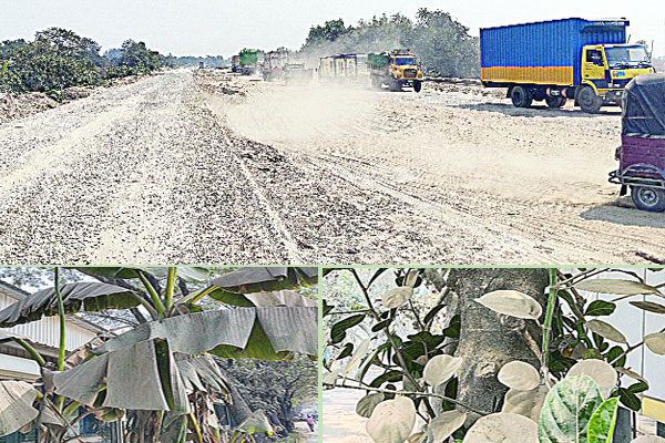 ধুলায় কাবু রাজধানীবাসী