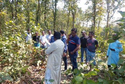 গভীর বনে মিলল মানুষের মাথার খুলি, হাড়গোড়
