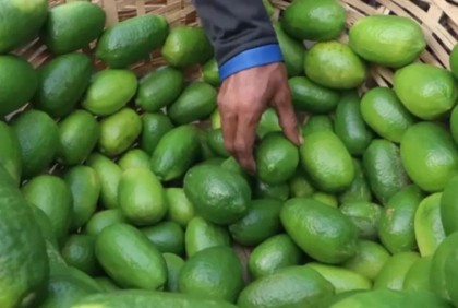 ৪০ টাকার লেবুর হালি প্রথম রমজানেই ৮০