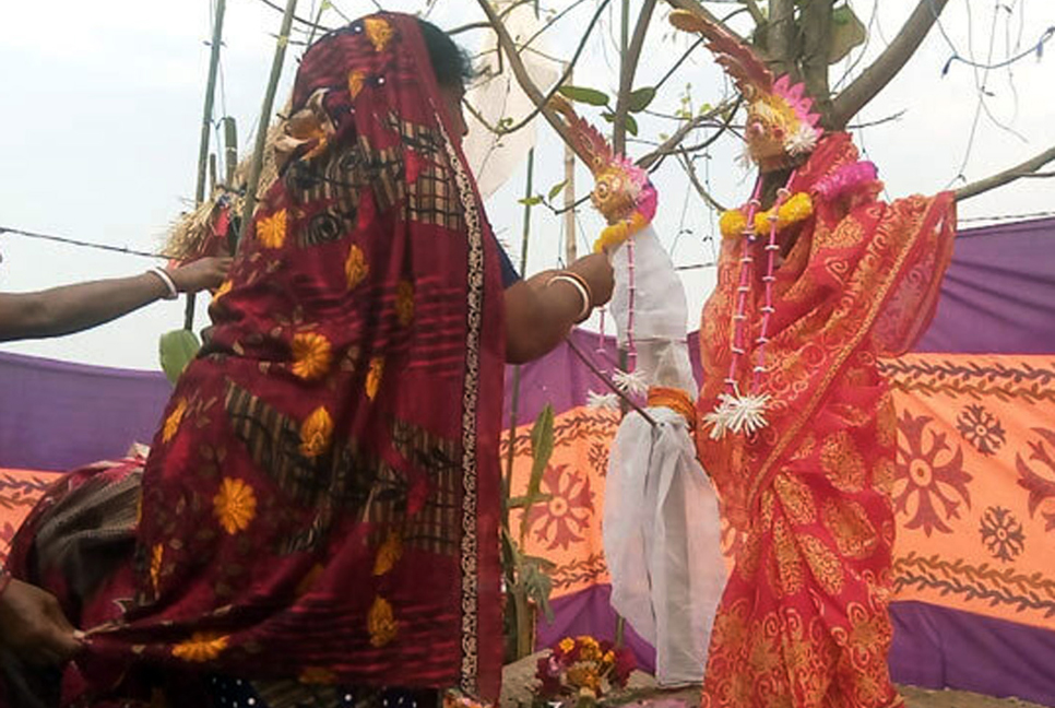 বট-পাকুড়ের ধুমধামে ব্যতিক্রমী দুই বিয়ে 

