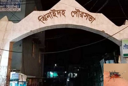 দরজা-জানালা বন্ধ করেও ঝিনাইদহ পৌরসভায় মশার হাত থেকে রেহাই নেই