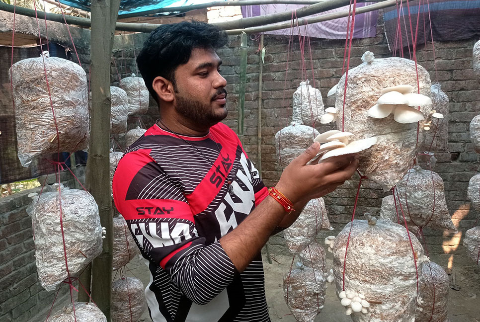 মাশরুম চাষে সফল কলেজছাত্র রাকেশ