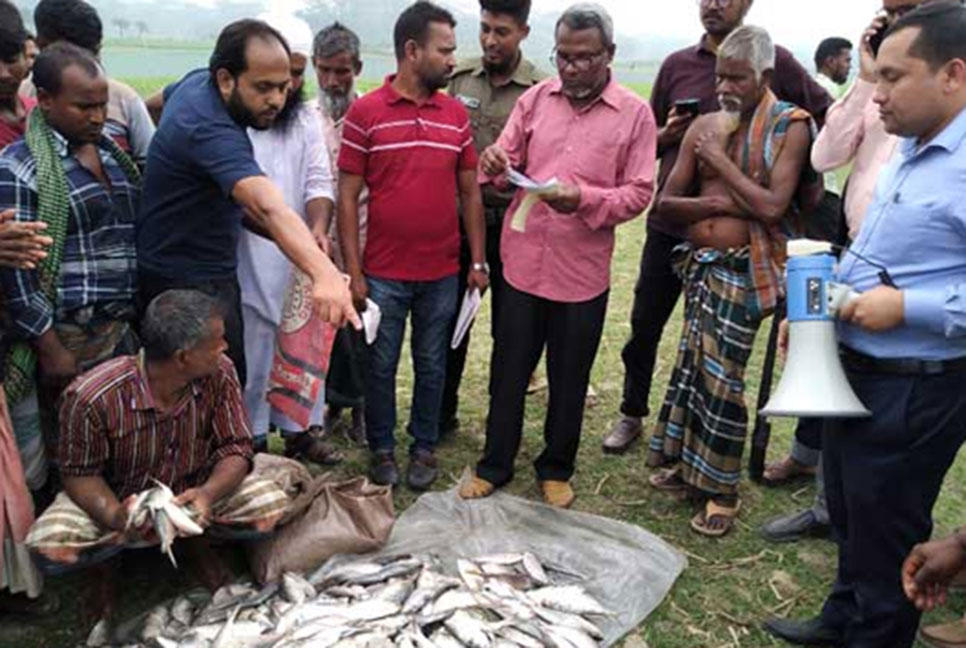 বরিশালে জাটকা পরিবহন করায় ১৫ জনকে জরিমানা


