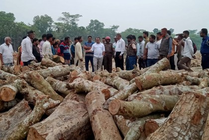 চরফ্যাশনে ইটভাটায় কেওড়া কাঠ, ১ লাখ টাকা জরিমানা