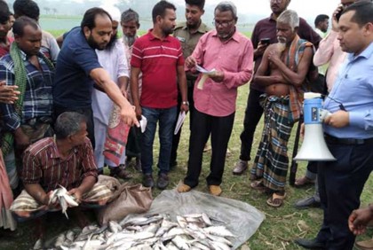 বরিশালে জাটকা পরিবহন করায় ১৫ জনকে জরিমানা

