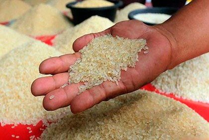 বাজার নিয়ন্ত্রণে আমদানি করা হবে ৮৩ হাজার টন চাল