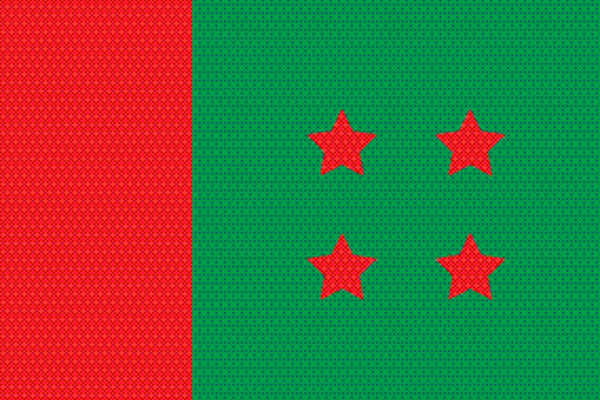 দল গোছাতে ব্যস্ত আওয়ামী লীগ